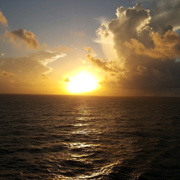 Meet your Posher, Tammy - Picture 1 of 1